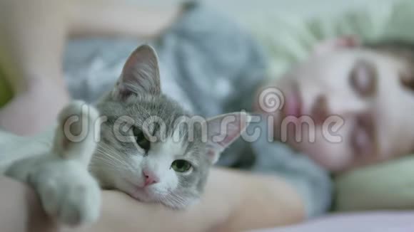 猫和男孩少年在室内睡在一起友谊爱宠物小男孩和猫在床上睡觉紧紧拥抱视频的预览图