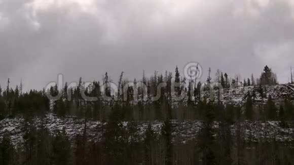 科罗拉多雪山视频的预览图