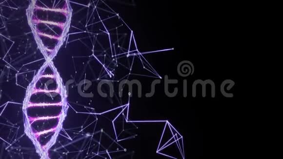 运动背景二进制数字丛dna链4环粉红色紫色视频的预览图