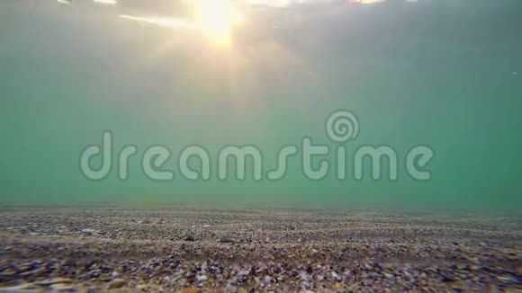 海面的水下景色视频的预览图
