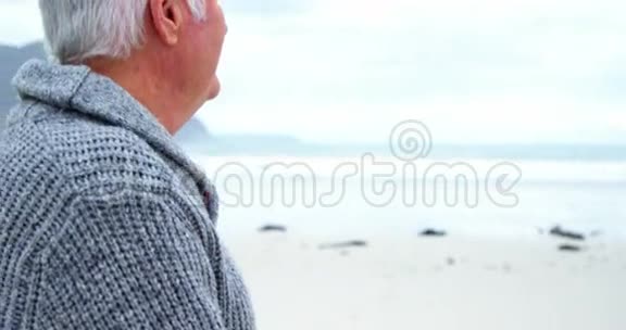 站在海滩上的老人画像视频的预览图