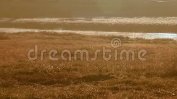 美丽的晨景有河流覆盖的薄雾视频的预览图