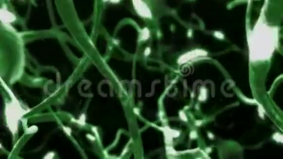 循环脑细胞神经活动动画视频的预览图