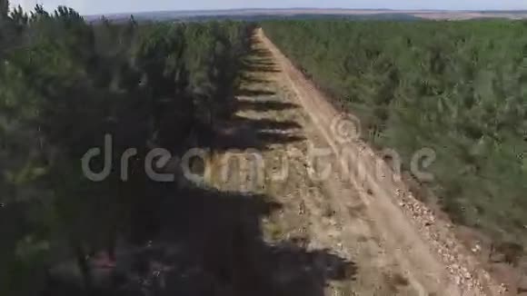 从松树林中俯瞰防火堤视频的预览图
