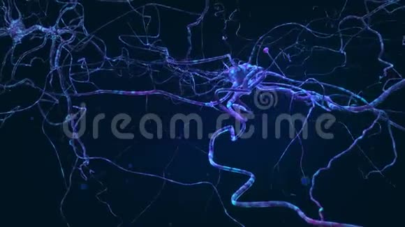 带神经元的深蓝色空间三维动画视频的预览图