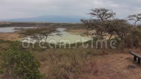 坦桑尼亚狩猎之旅的湖泊视频的预览图