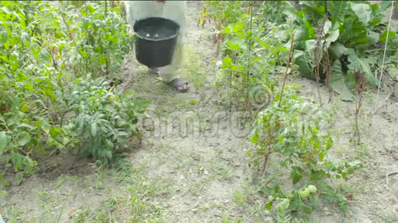 用家庭桶浇灌植物视频的预览图