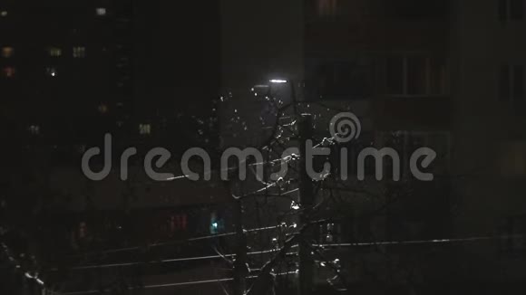 夜晚降下的大雪在城里的假日里在路灯附近闪烁视频的预览图