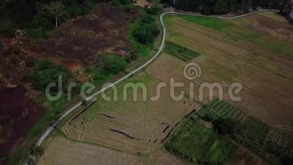 稻田附近马来西亚基达美丽的鸟瞰图视频的预览图