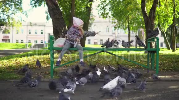 一个小女孩在一个秋天的公园里喂鸽子视频的预览图