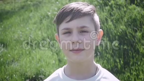 一幅10岁男孩在绿草背景下的肖像视频的预览图