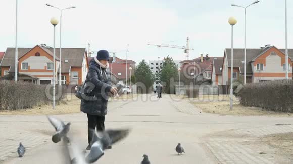 在街上喂鸽子的成年妇女视频的预览图