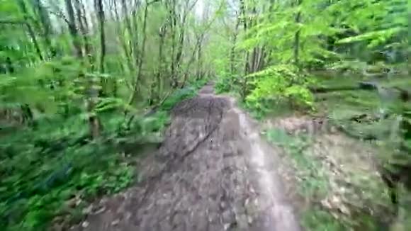森林步道视频的预览图