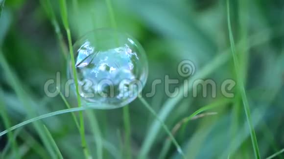 一个大泡泡站在草地上视频的预览图