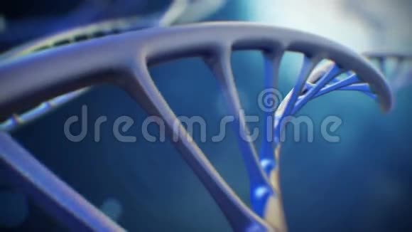 4K3D呈现与DNA分子折叠成螺旋的特写镜头背景科学或医学视频视频的预览图