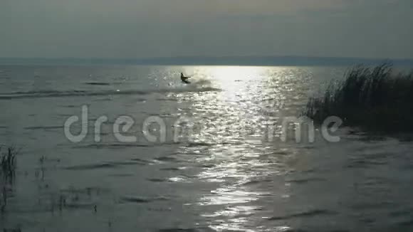 秋天湖上的风筝爱好者享受极限运动视频的预览图