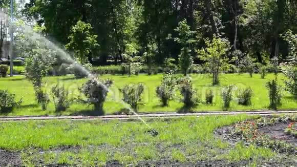 自动给草坪和鲜花浇水视频的预览图