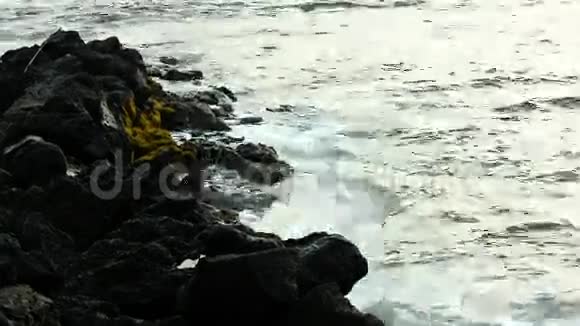 夏威夷科纳的黑色熔岩岸视频的预览图