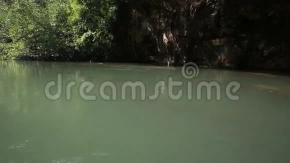 红树林热带河流全景图视频的预览图