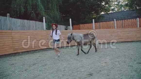 漂亮的女孩带着一匹漂亮的小马走在竞技场上4K视频的预览图