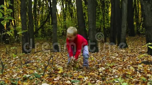 穿红色衣服的小男孩秋天扔干树叶视频的预览图