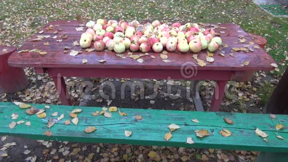 秋天落在红桌子上的苹果上的桦树叶子视频的预览图