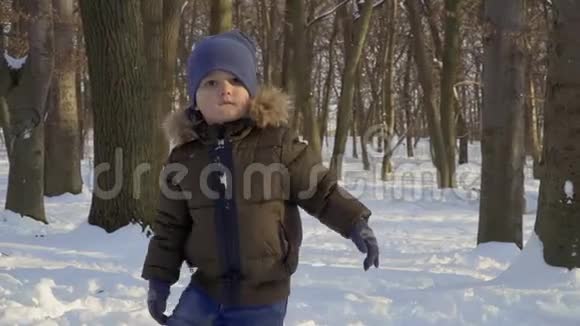 冬季公园可爱可爱男孩的肖像视频的预览图
