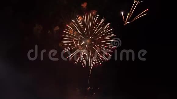 透明背景上的抽象金色烟花爆炸新年庆祝烟火视频的预览图