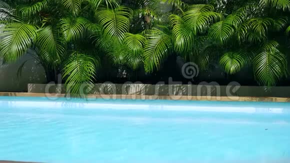 游泳池和棕榈树的水晶净水面的俯视图阳光明媚的水潭环路背景视频的预览图