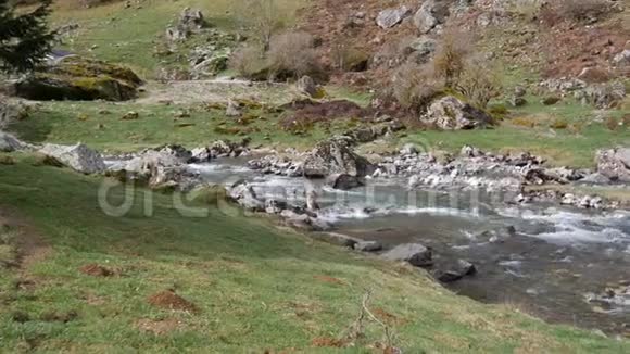 山中河流的全景视频的预览图