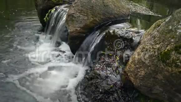 森林河流中的小瀑布视频的预览图