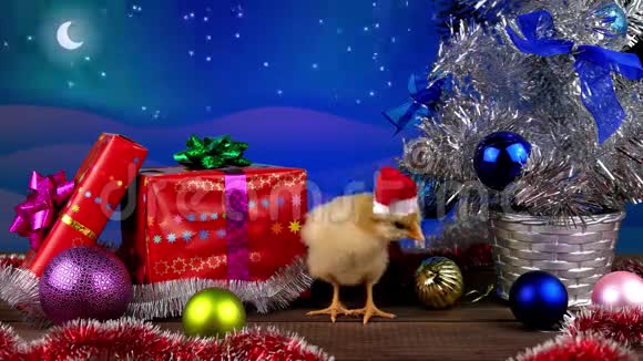 2017新年理念小公鸡在圣诞节装饰视频的预览图