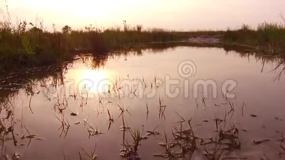 美丽的夕阳景观自然清澈见底的小河无纺布的自然美夏日夕阳西下小河视频的预览图