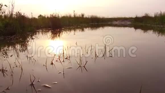 美丽的夕阳景观自然清澈见底的小河无花江自然美景夏日夕阳小视频的预览图