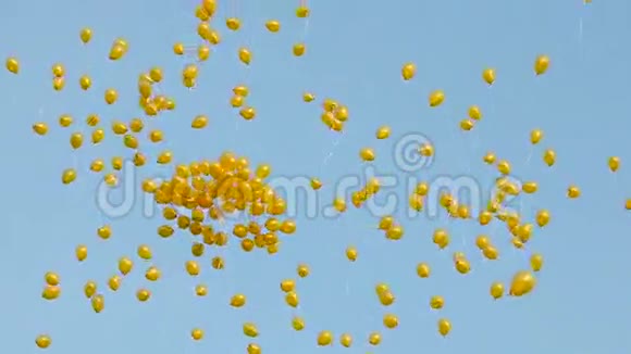 黄色气球飞视频的预览图