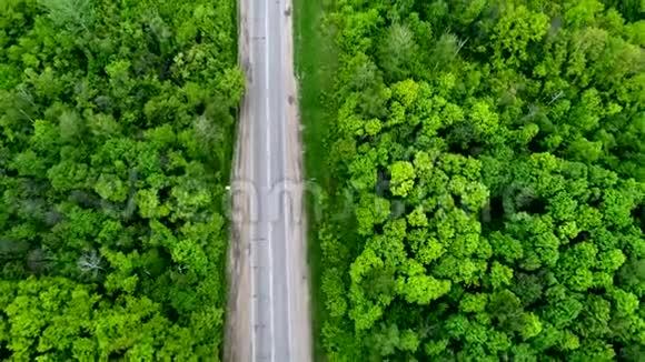 汽车在穿过绿色森林的道路上行驶空中行驶视频的预览图