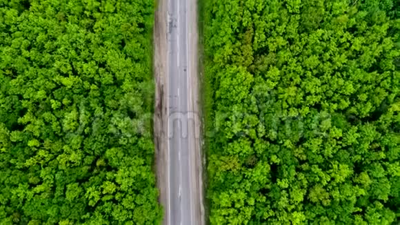 汽车在穿过绿色森林的道路上行驶空中行驶视频的预览图