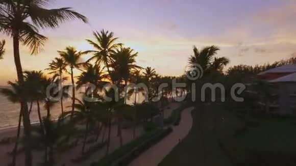金色夕阳中的棕榈树和美丽的岛屿视频的预览图
