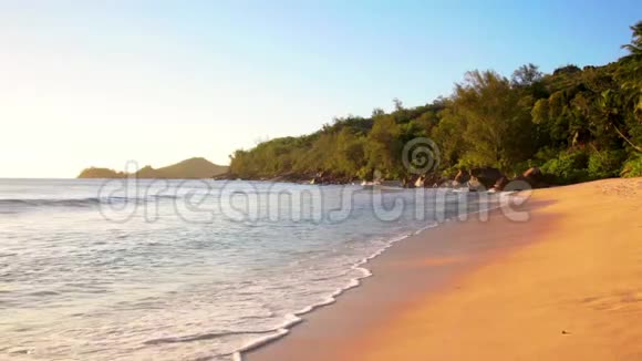 塞舌尔沙滩上的死树视频的预览图