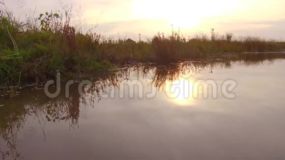 美丽的夕阳景观自然清澈见底的小河无花小河自然美景夏日日落视频的预览图
