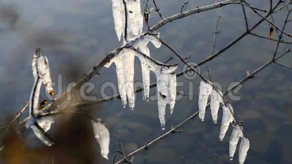 冰柱冬天在湖边融化视频的预览图