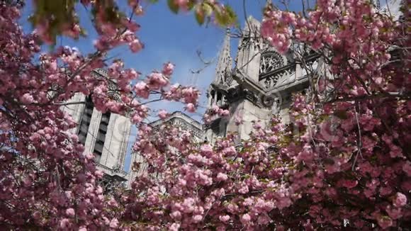 春天的圣母大教堂法国巴黎视频的预览图