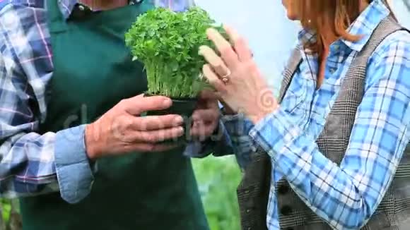 喜欢买植物的女人跟园丁说话视频的预览图