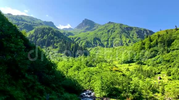 土耳其阿尔文黑海地区卡尔卡山脉河流和森林的绿色自然景观视频的预览图