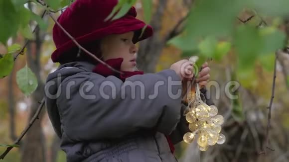 小女孩手里拿着一个花环挂在树上的灯泡视频的预览图