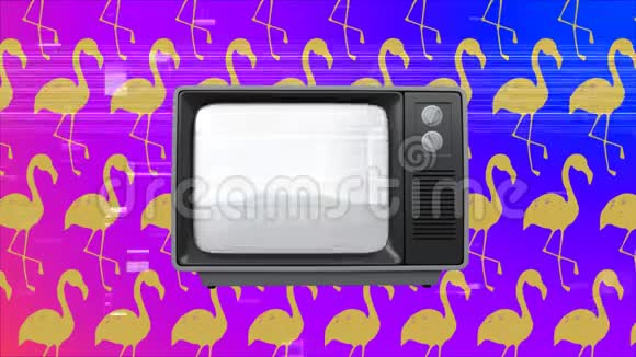 旧的电视帖子显示粉红色的火烈鸟周围的电视嘶嘶声条视频的预览图