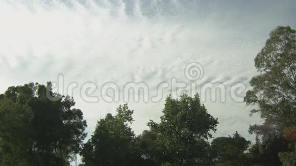 多云天空纹理的静态树木拍摄视频的预览图