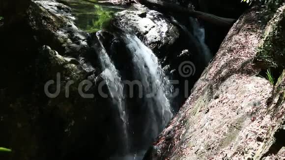 新南威尔士州北部雨林溪流在瀑布上撞入水池视频的预览图