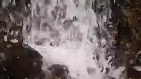 水落石出小森林瀑布关闭视频的预览图