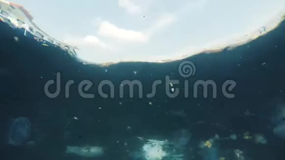海洋污染问题视频的预览图